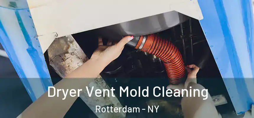  Dryer Vent Mold Cleaning Rotterdam - NY
