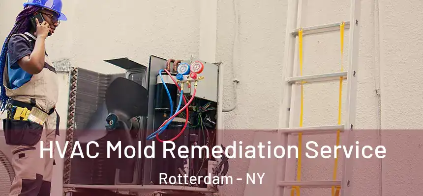 HVAC Mold Remediation Service Rotterdam - NY