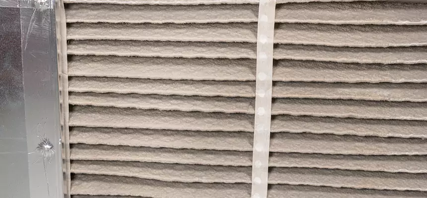 Mobile Car AC Filter Replacement in Rotterdam