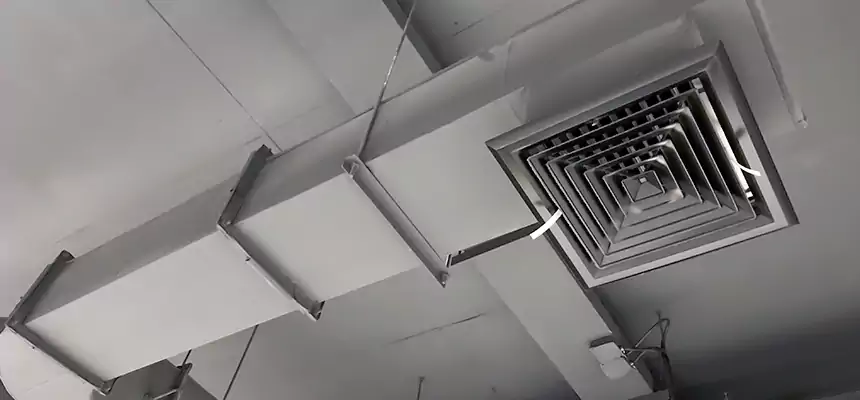 Our Pest Removal From Ducts Services in Rotterdam, NY