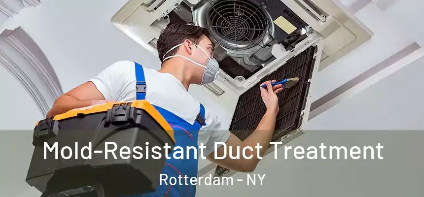  Mold-Resistant Duct Treatment Rotterdam - NY