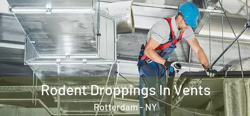  Rodent Droppings In Vents Rotterdam - NY