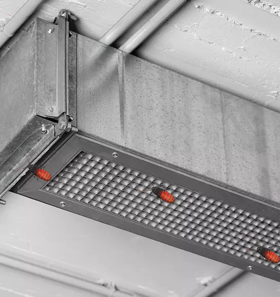 About Air Duct Cockroach Removal in Rotterdam, NY