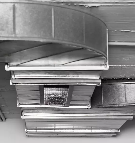 Professional Air Duct Pet Hair Removal in Rotterdam, NY