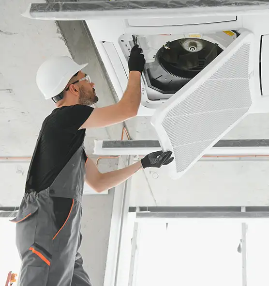 About Air Duct Rodent Removal in Rotterdam, NY