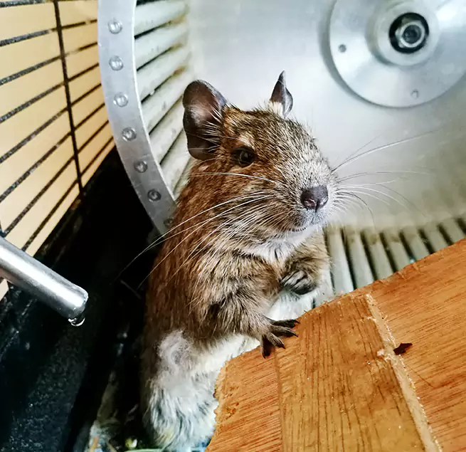 Why Homeowners & Businesses Trust Us Rotterdam, NY?